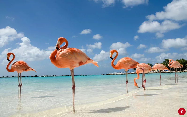 加勒比，百慕大和巴哈马群岛最美丽的15座岛屿